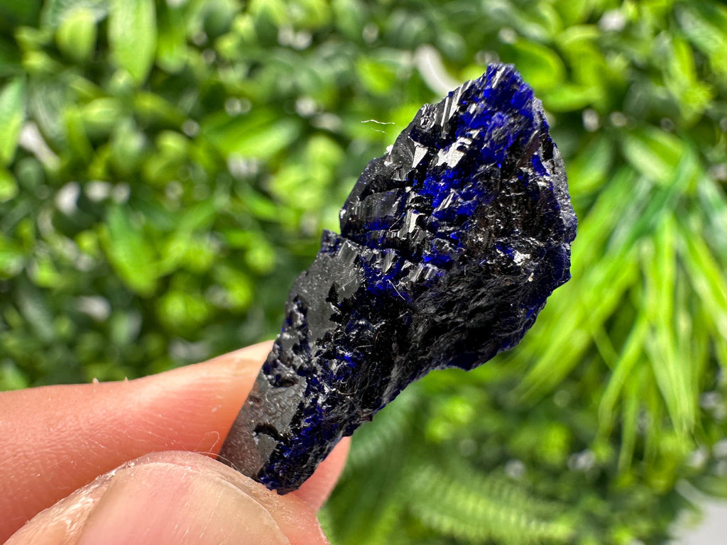 Crystallized Azurite-Kerrouchen,Morocco-Blue Azurite Specimen-High Quality Blue Azurite-Azurite Mineral Specimen, gemmy,lustrous of Azurite