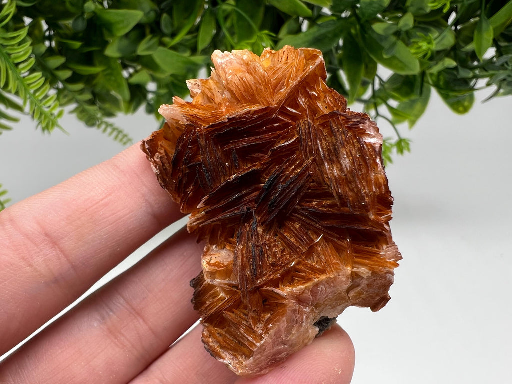 Wonderful Baryte with Cerussite on Galena from Morocco,Crystal, Mineral,Specimen,Cluster,Crystals,Barite Crystal,Cerussite Crystal,Specimen