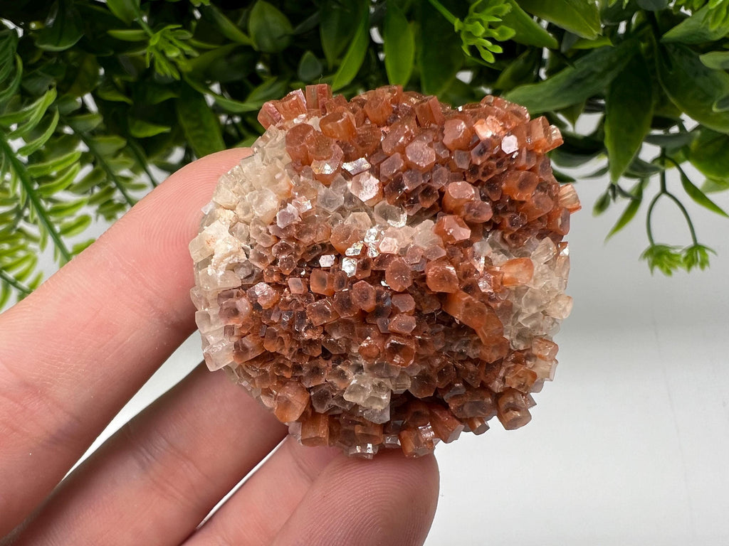Extra Large Aragonite Sputnik Cluster: Moroccan Raw Crystal Stone