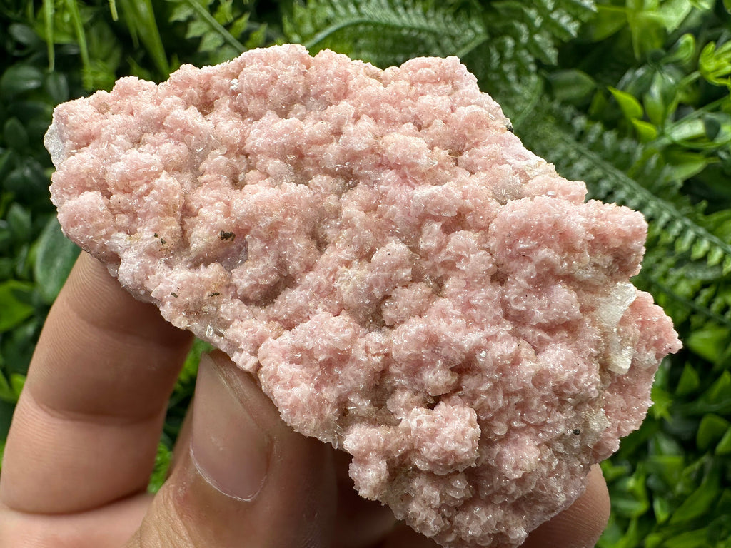 Cabinet Rhodochrosite Specimen with Quartz Crystals, Bulgaria