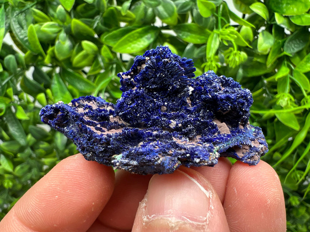Crystallized Azurite-Kerrouchen,Morocco-Blue Azurite Specimen-High Quality Blue Azurite-Azurite Mineral Specimen, gemmy,lustrous of Azurite