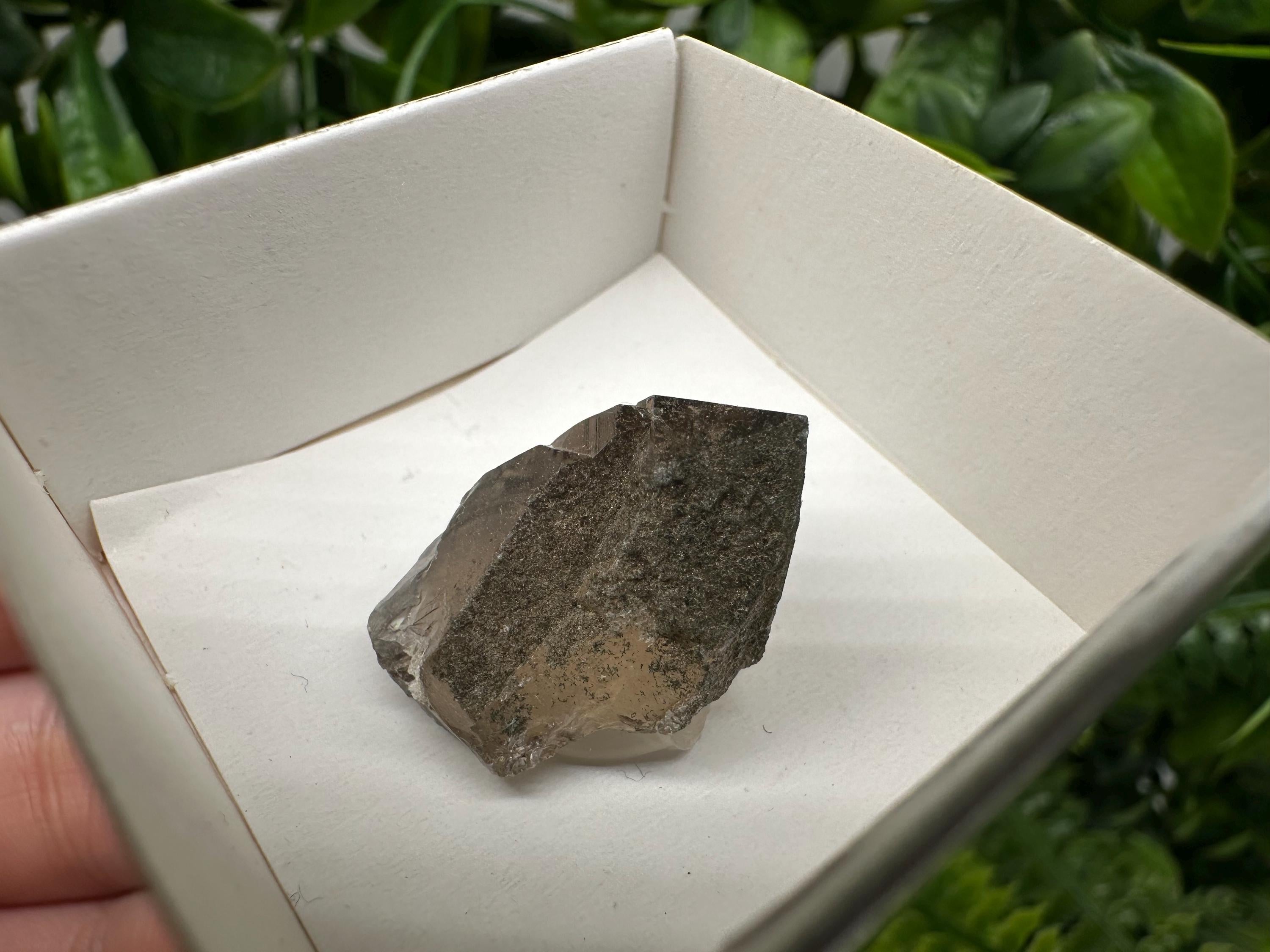 Rare Fedenstock Smoky Quartz Point, Swiss Mineral Specimen (25MM)