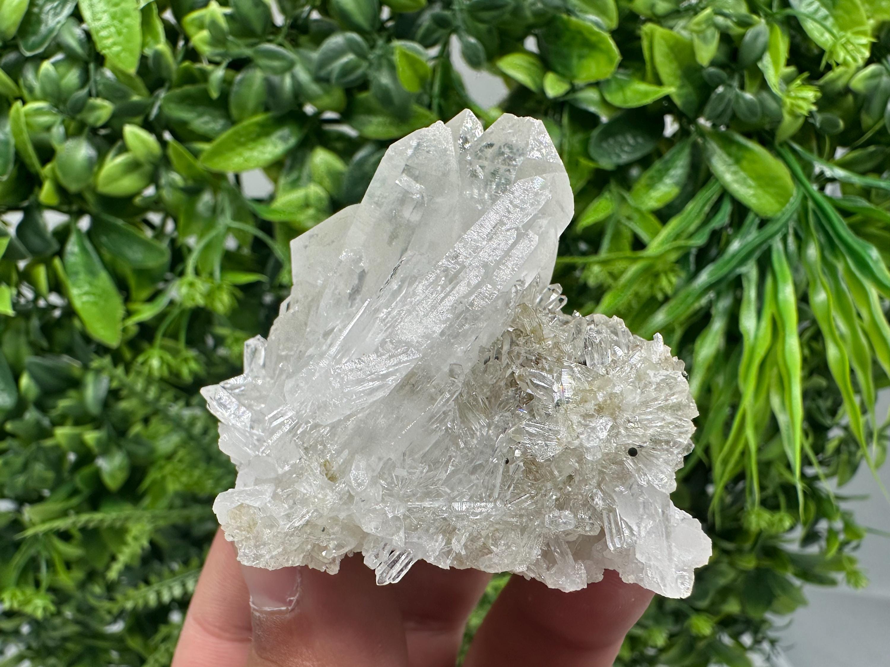 Transparent Quartz Crystal Cluster, Djurcovo Mine, Bulgaria