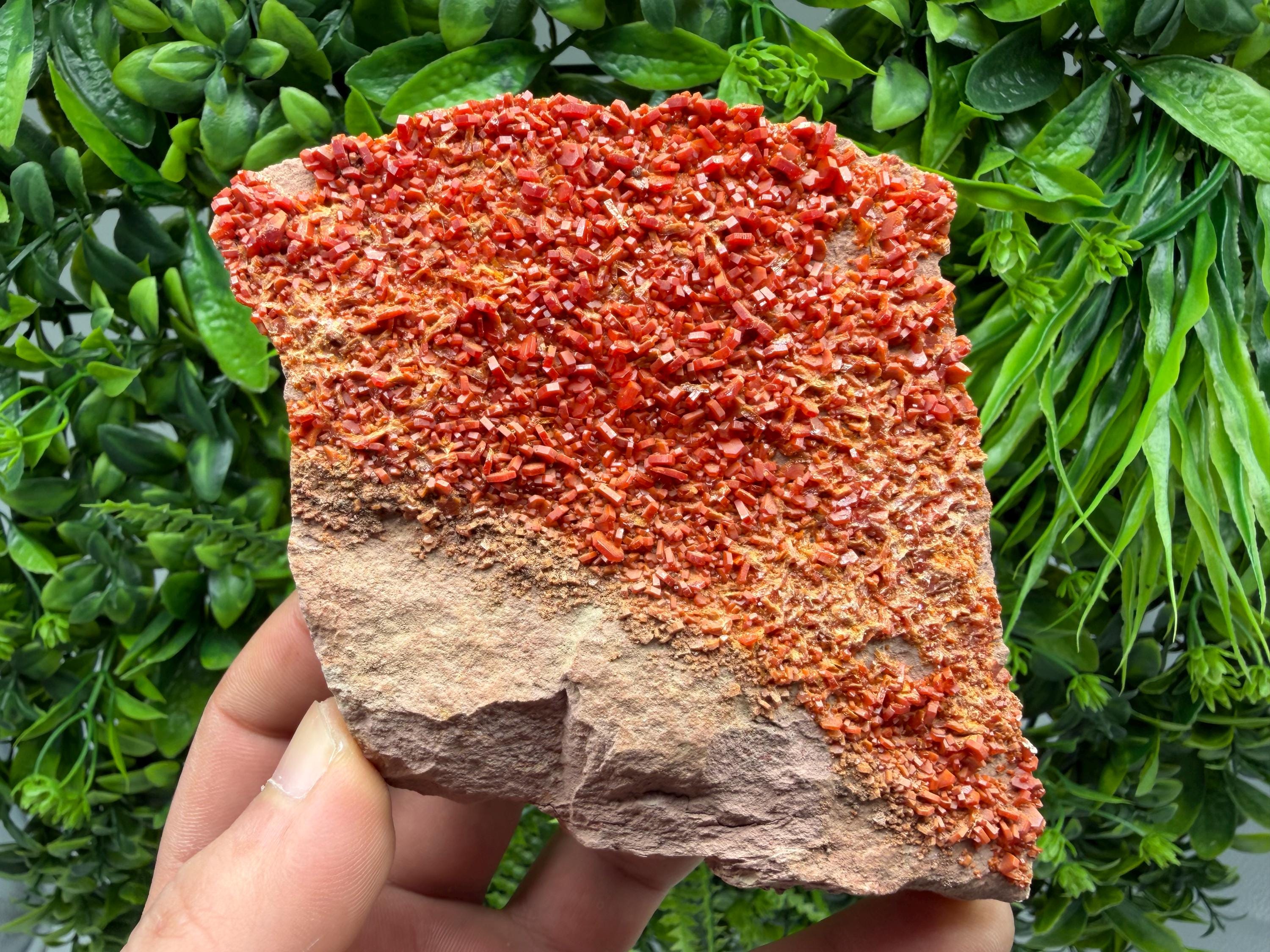Red Vanadinite on Matrix from Marocco,crystal minerals Speciment cluster Vanadinite crystal Vanadinite Geology Vanadinite cluster minerals