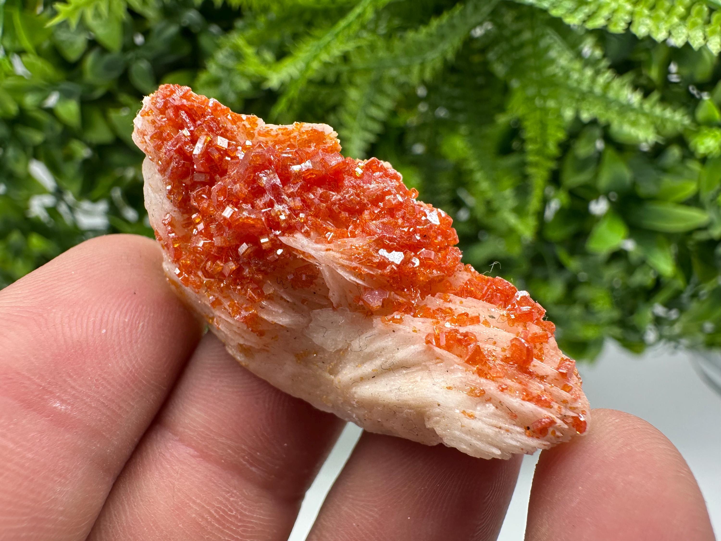 Red Vanadinite on Barite from Marocco,crystal minerals Speciment cluster Vanadinite crystal Vanadinite Geology Vanadinite cluster minerals