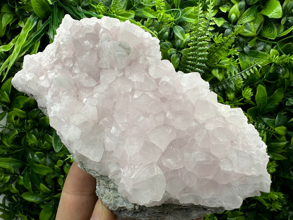 UV Reactive Mangano Calcite Crystal: Androvo Mine, Bulgaria