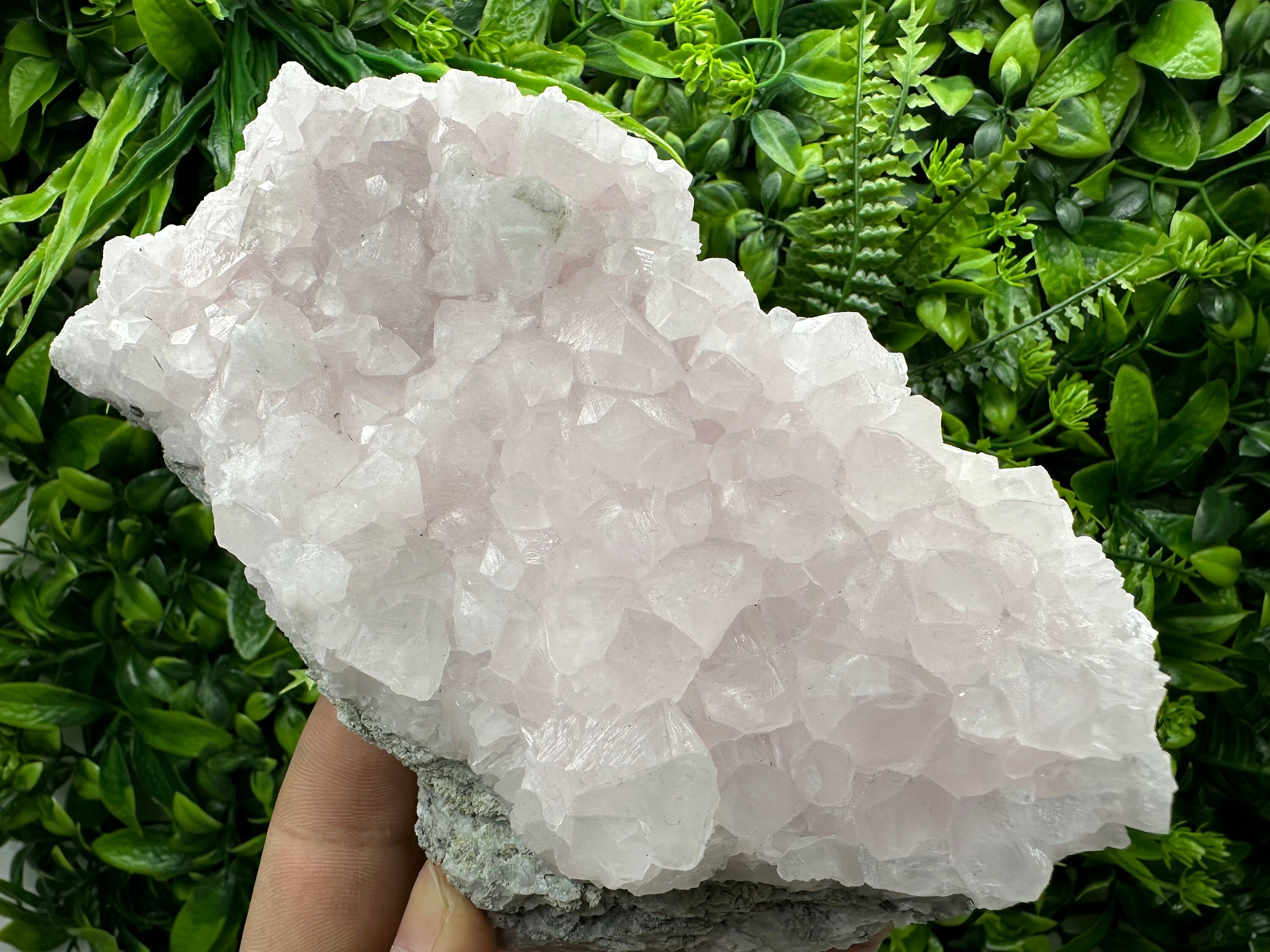 UV Reactive Mangano Calcite Crystal: Androvo Mine, Bulgaria