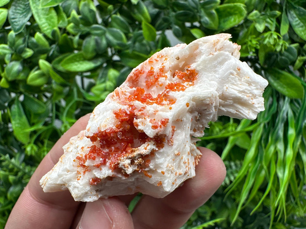 Red Vanadinite on Barite, Moroccan Crystal Mineral Specimen