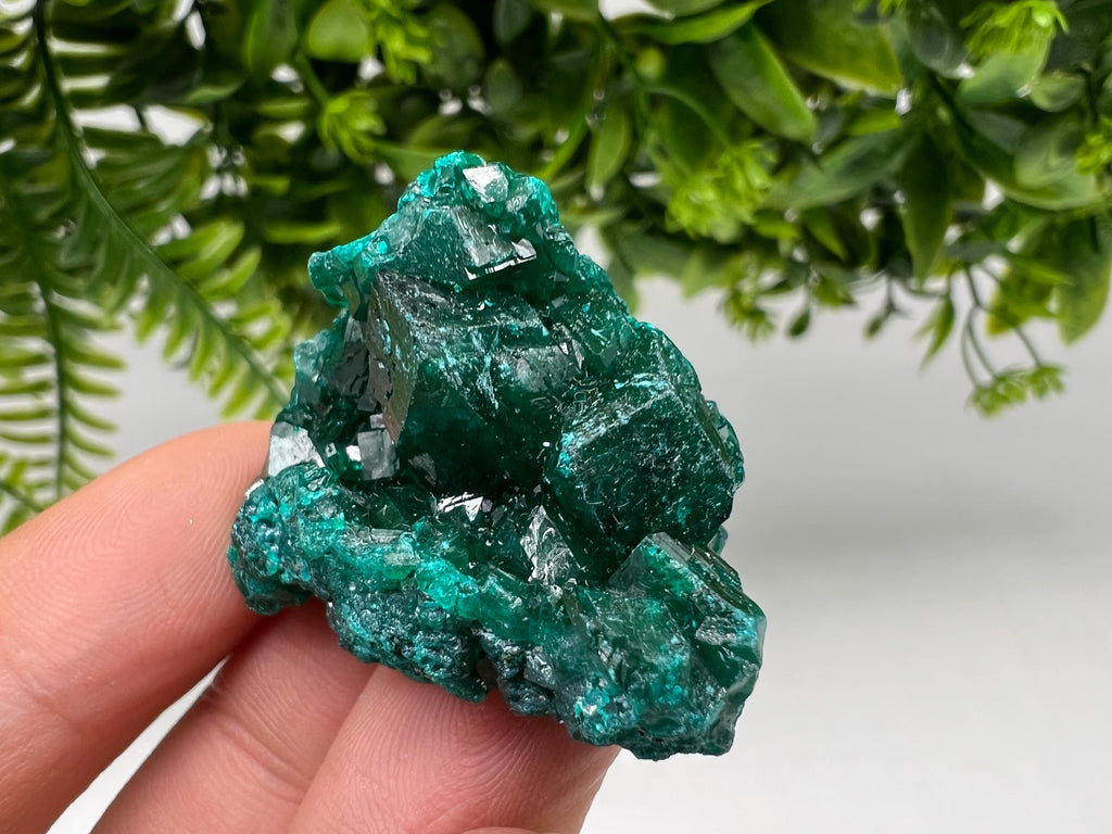 Stunning Green Dioptase from Sanda Hills,Mindouli,Pool Department,Mindouli District,Congo,green Dioptase,Dioptas Crystal,Dioptase collecting