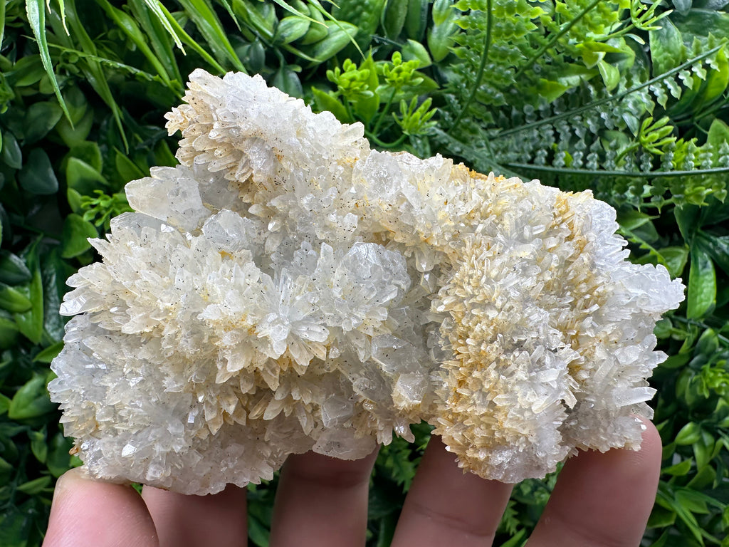 Quartz with Limonite, Iron Oxide Mineral Specimen