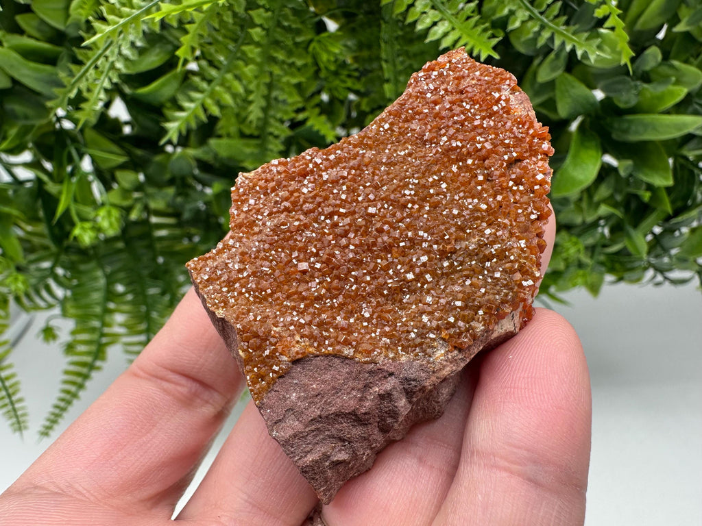 Red Vanadinite on Matrix from Marocco,crystal minerals Speciment cluster Vanadinite crystal Vanadinite Geology Vanadinite cluster minerals