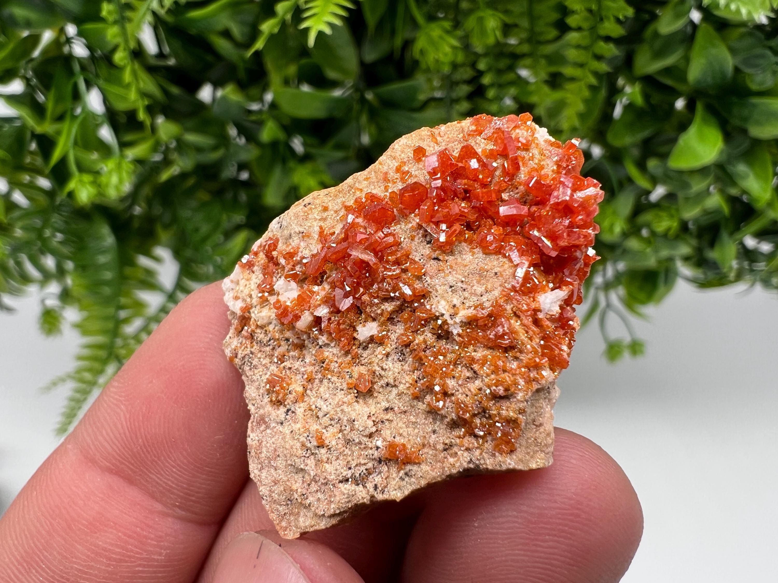 Red Vanadinite on Barite from Marocco,crystal minerals Speciment cluster Vanadinite crystal Vanadinite Geology Vanadinite cluster minerals