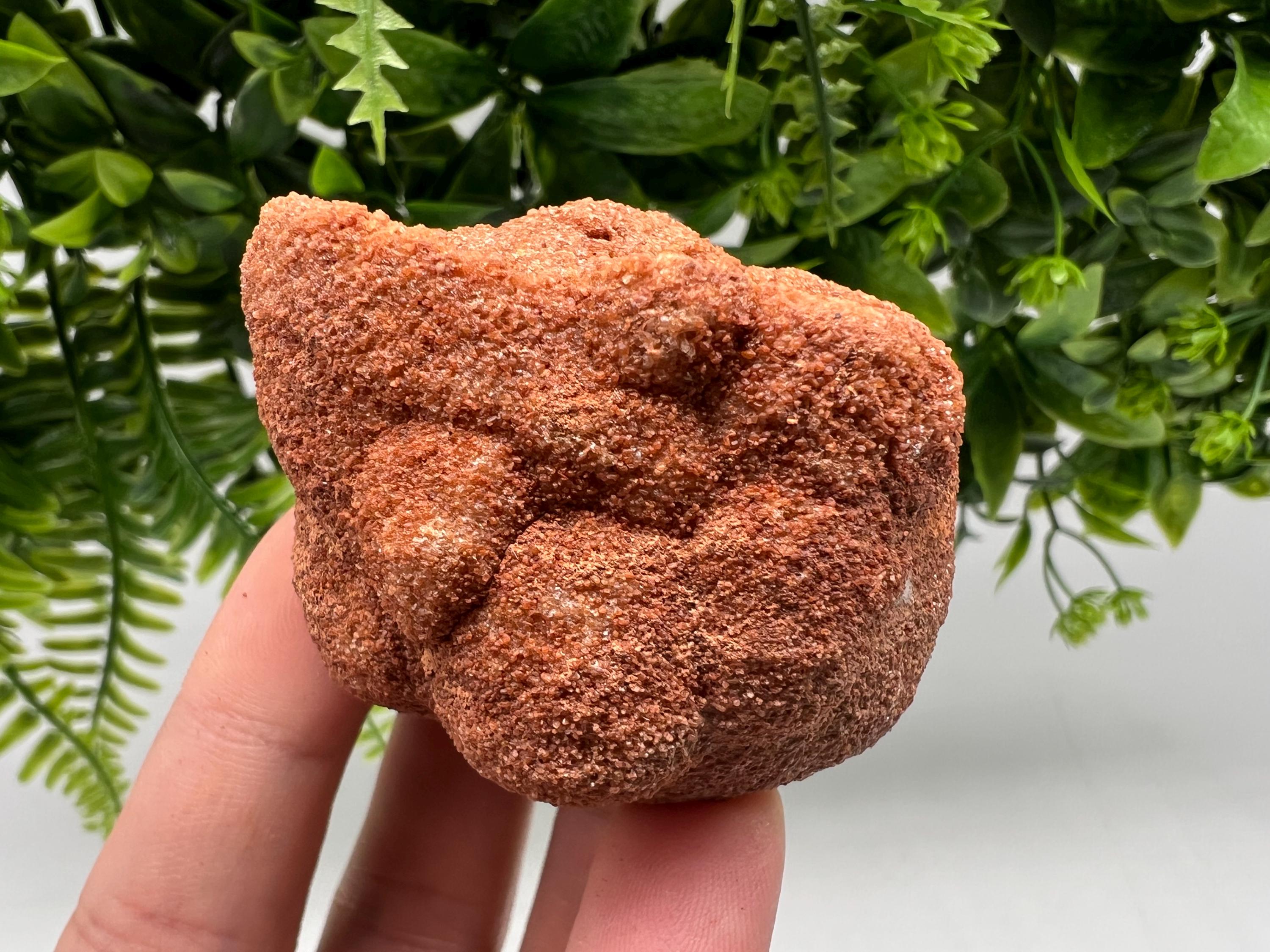 Moroccan Stromatolite Fossil Specimen, Grounding Meditation Stone