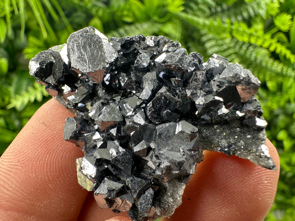 Shiny Galena on Quartz, Borieva Mine Bulgaria