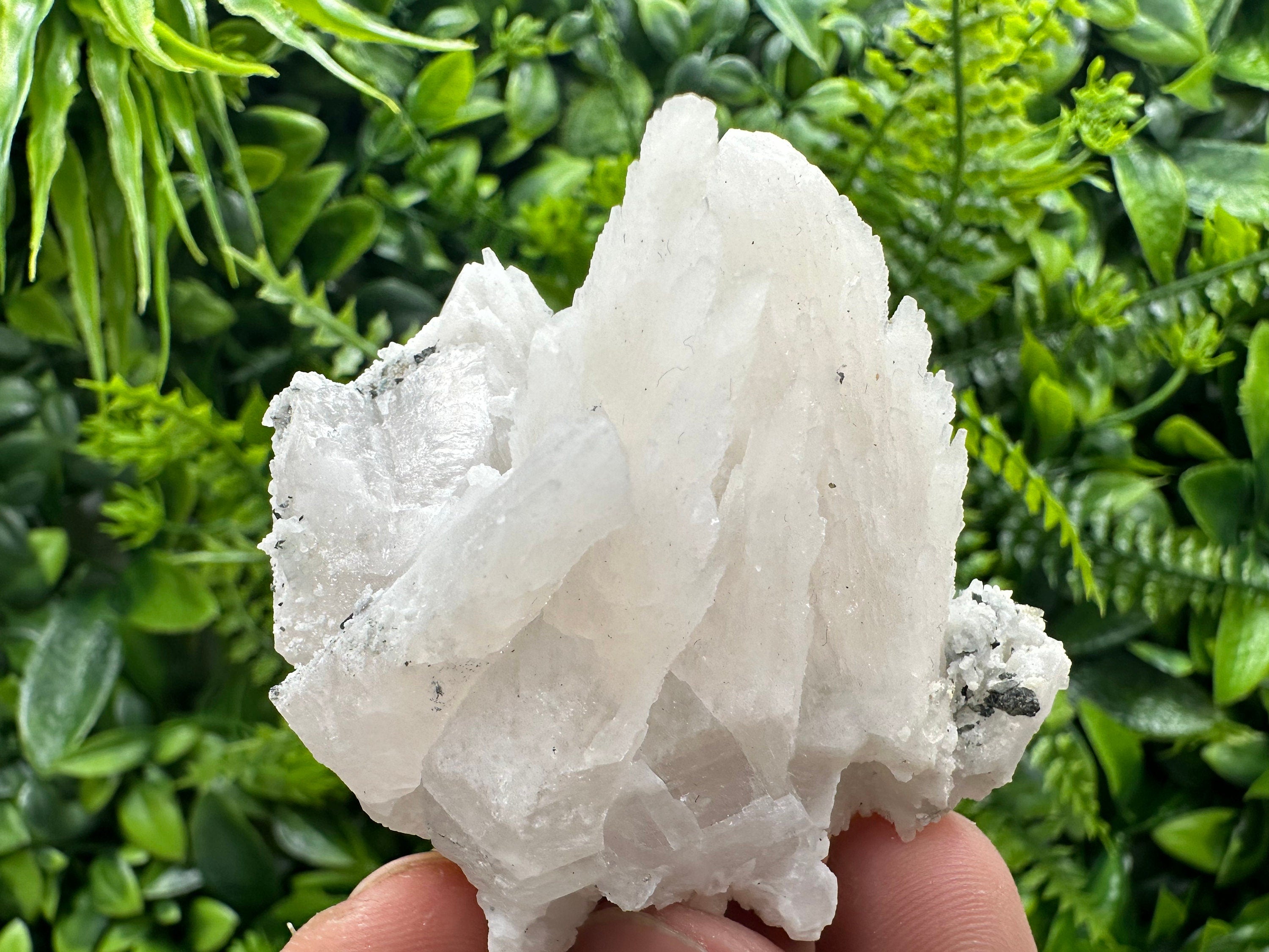 Calcite on Green Quartz: Djurcovo Mine, Bulgaria Healing Crystal