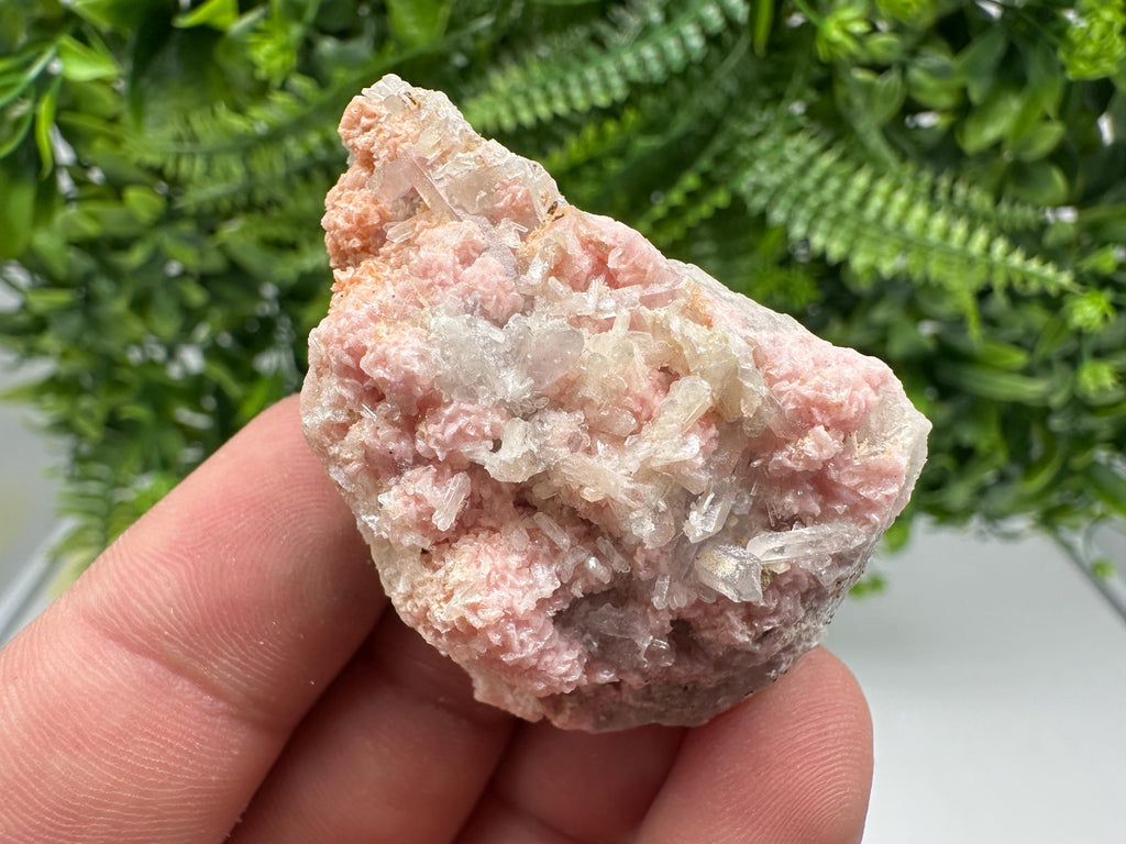 Pink Rhodochrosite Crystal: Starnica Mine, Bulgaria