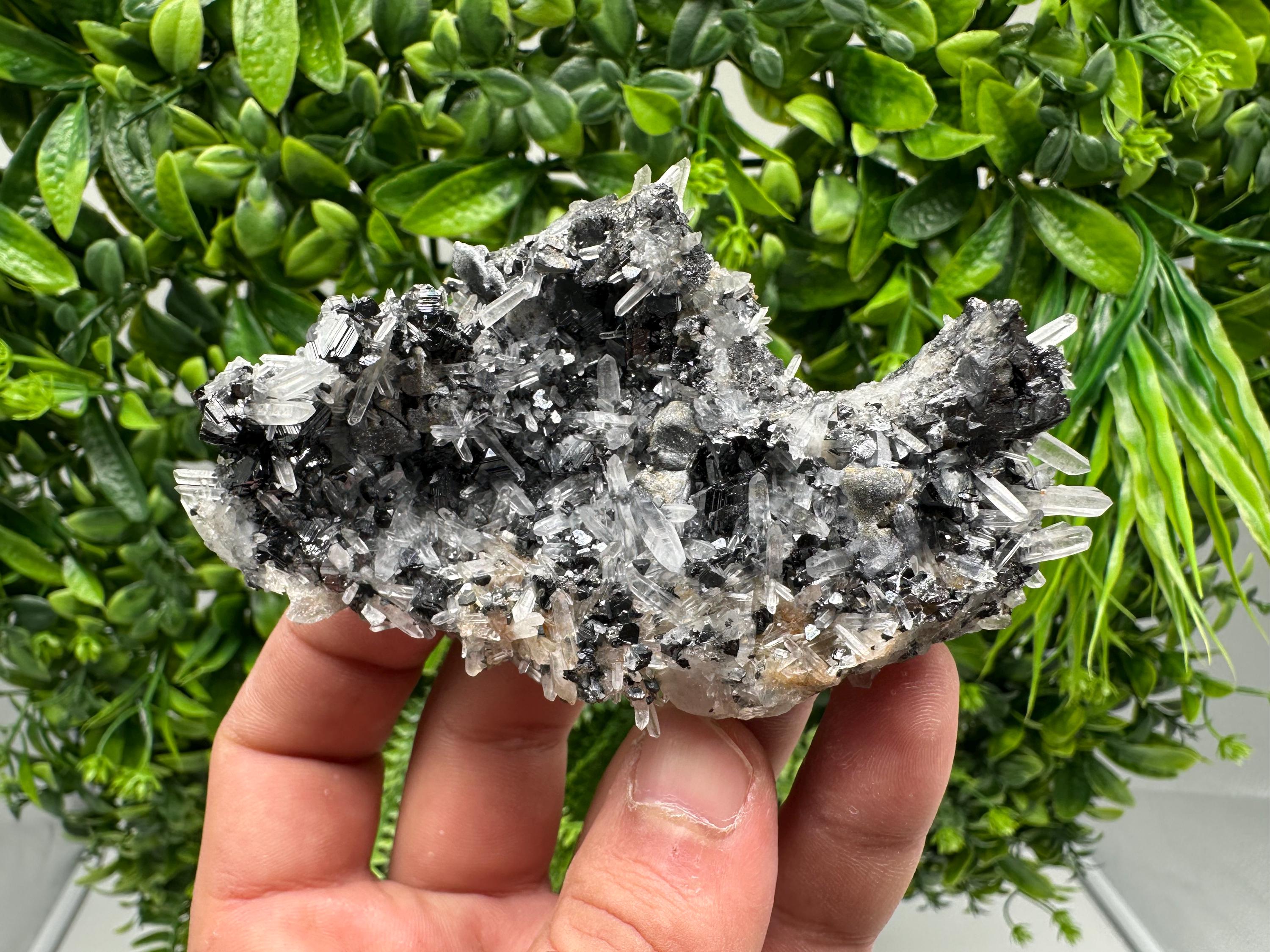 Wonderful Sphalerite Chalcopyrite on  Quartz whit Galena feom 9 th September mine,Bulgaria,natural,collection mineral specimen,gift