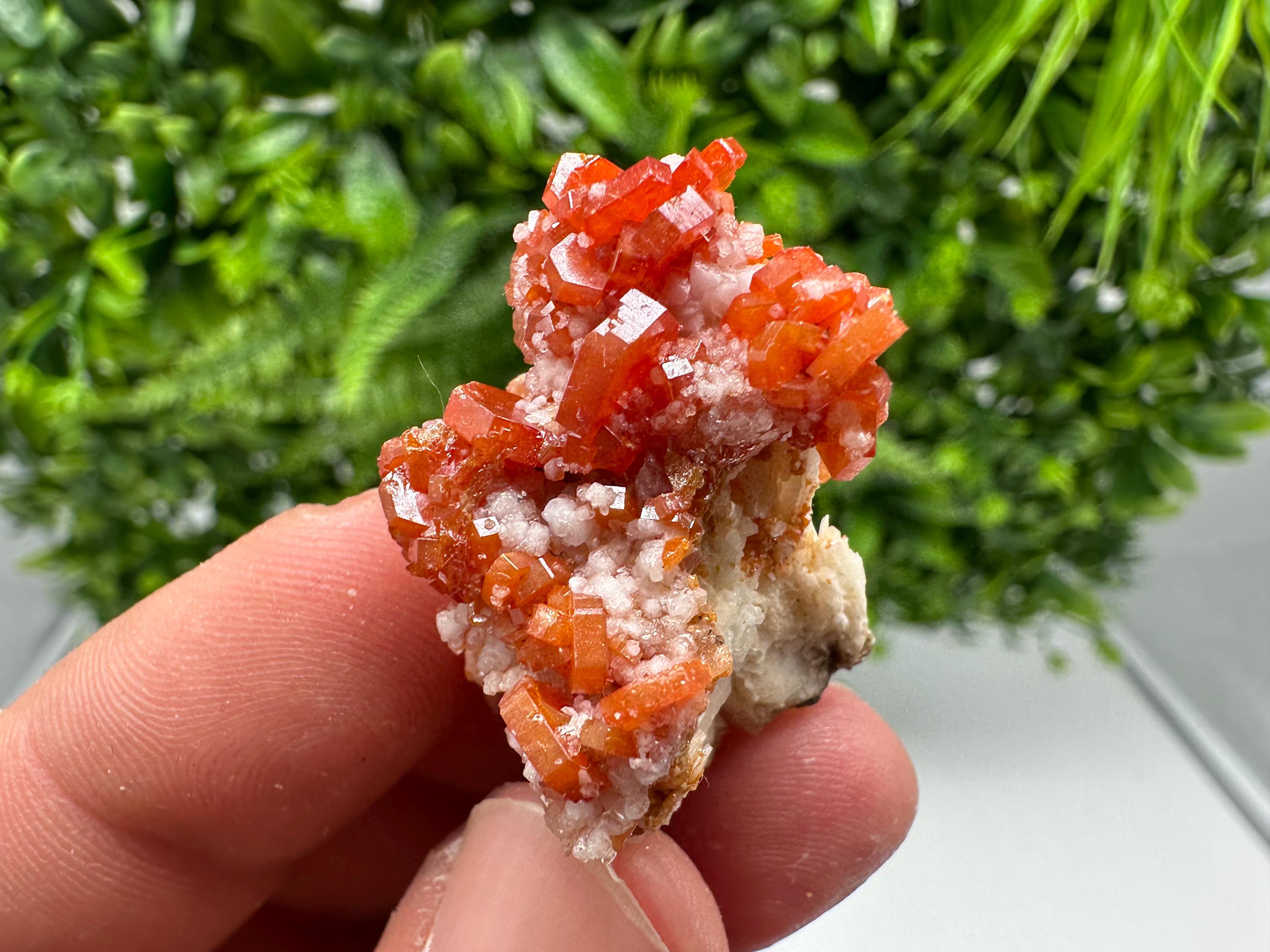 Red Vanadinite on Barite from Marocco,crystal minerals Speciment cluster Vanadinite crystal Vanadinite Geology Vanadinite cluster minerals