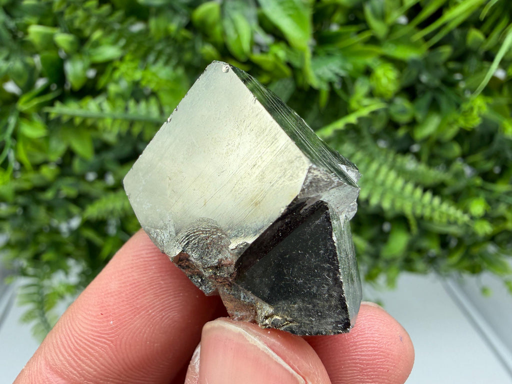 Interjoined Pyrite Cube, La Rioja Spain, Home Decor Stone