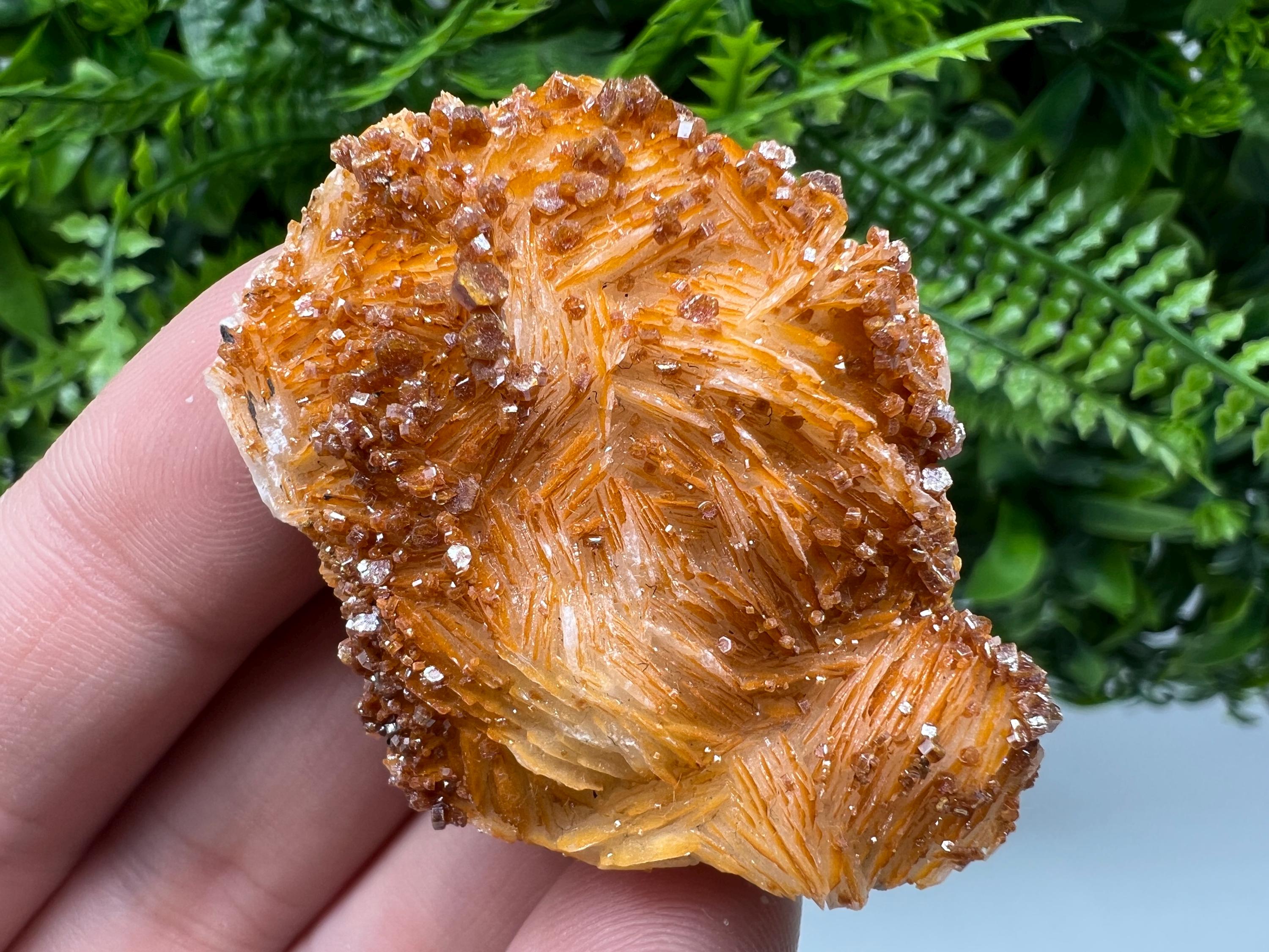 Red Vanadinite Crystal on Barite Matrix, Morocco Mineral Specimen