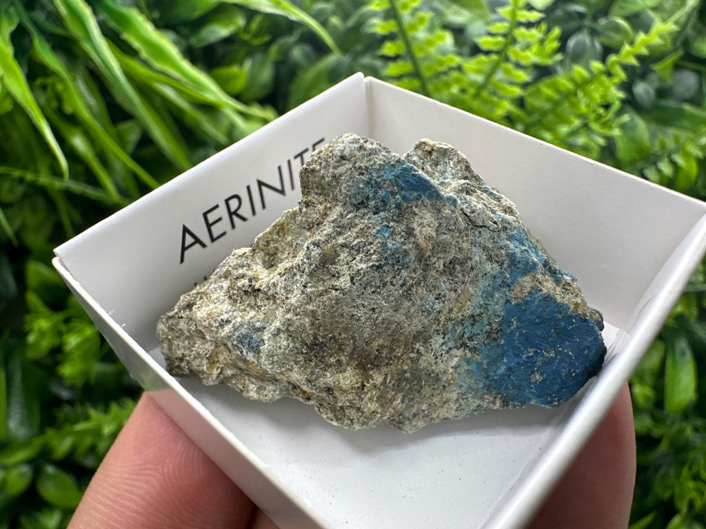 Rare Raw Aerinite Mineral Specimen: Lleida, Spain Crystal