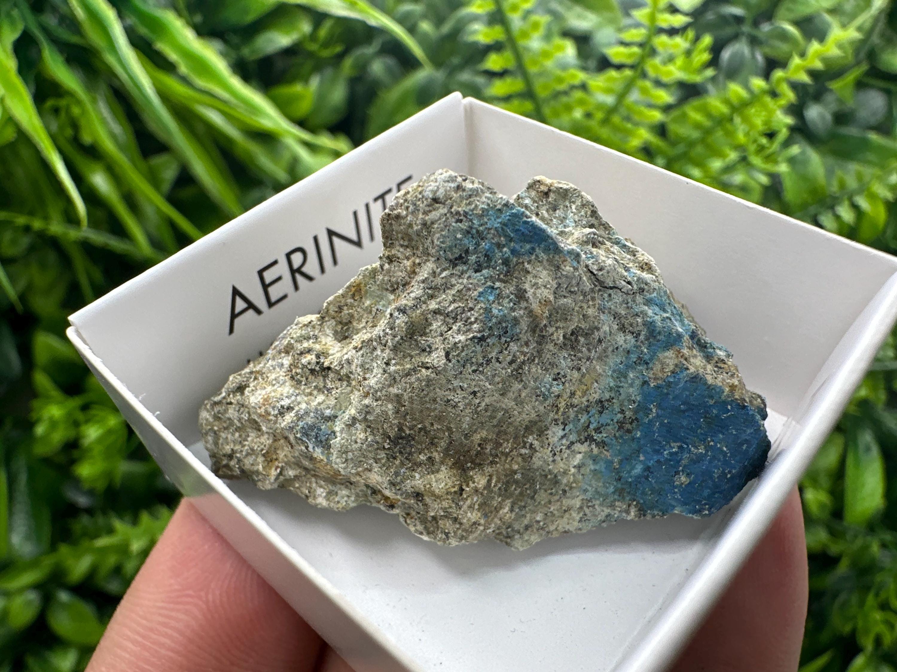 Rare Raw Aerinite Mineral Specimen: Lleida, Spain Crystal
