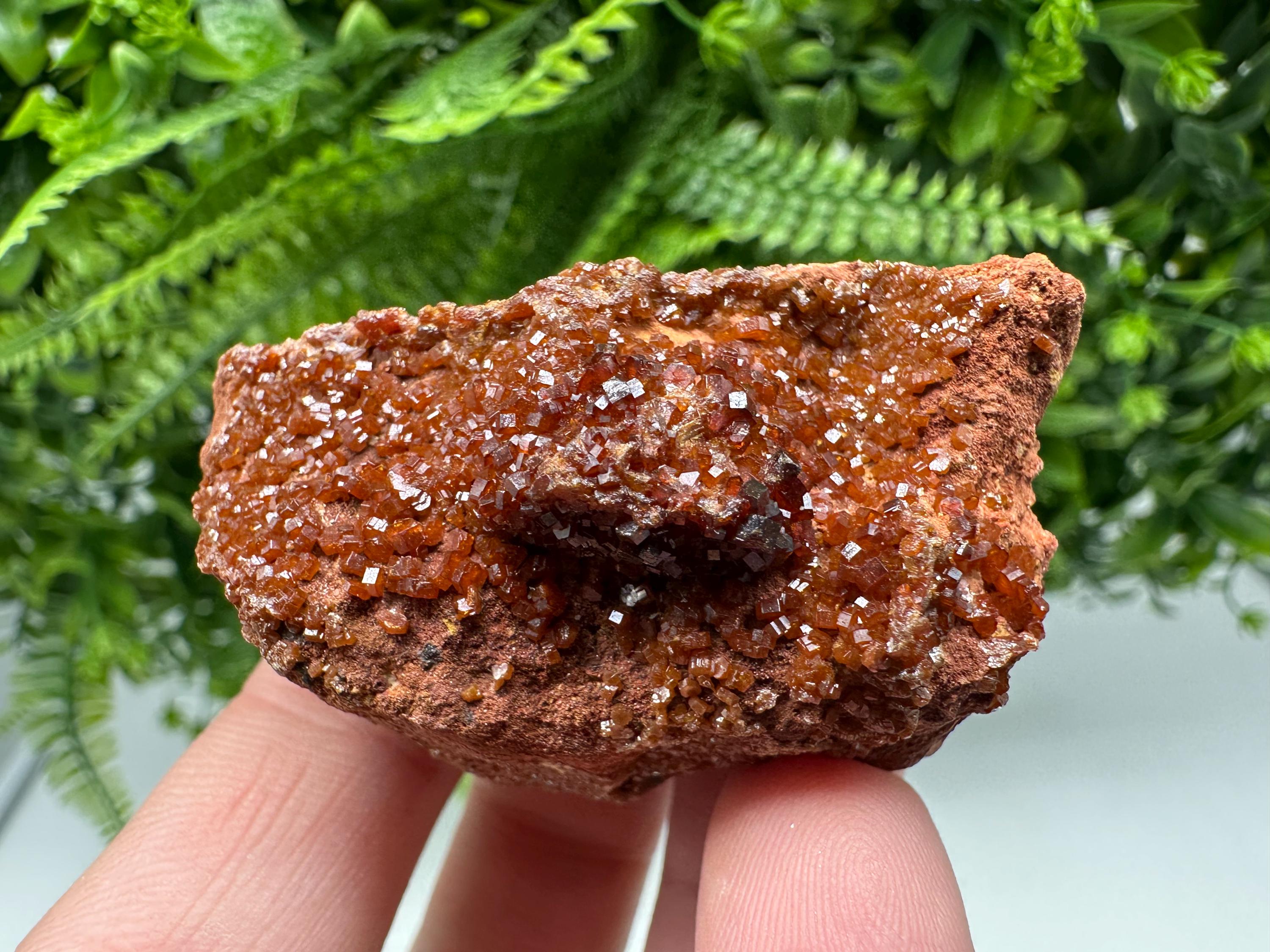 Red Vanadinite on Matrix from Marocco,crystal minerals Speciment cluster Vanadinite crystal Vanadinite Geology Vanadinite cluster minerals
