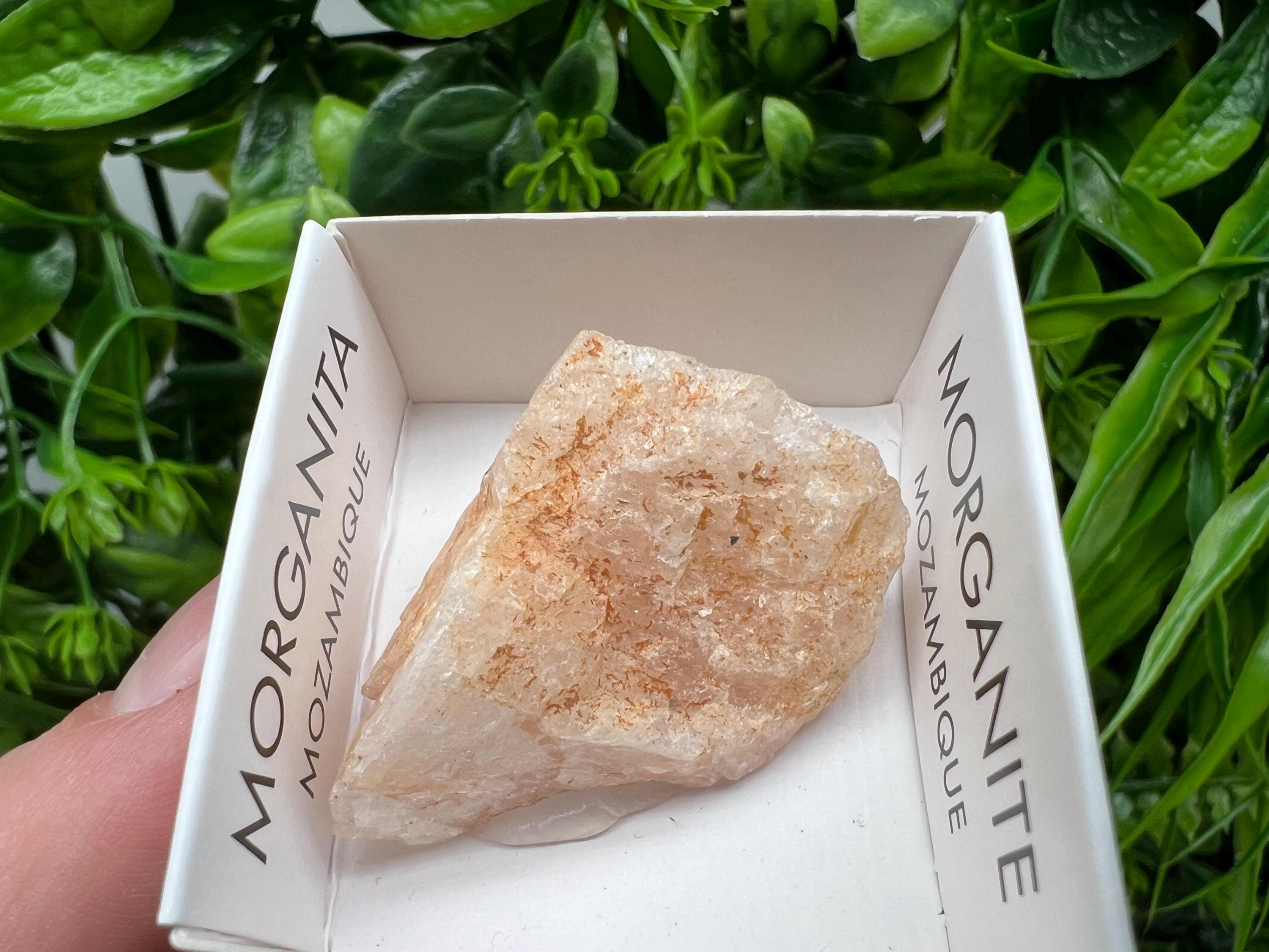 Rare Raw Morganite Specimen: Mozambique Crystal Collection (3/3.5cm)