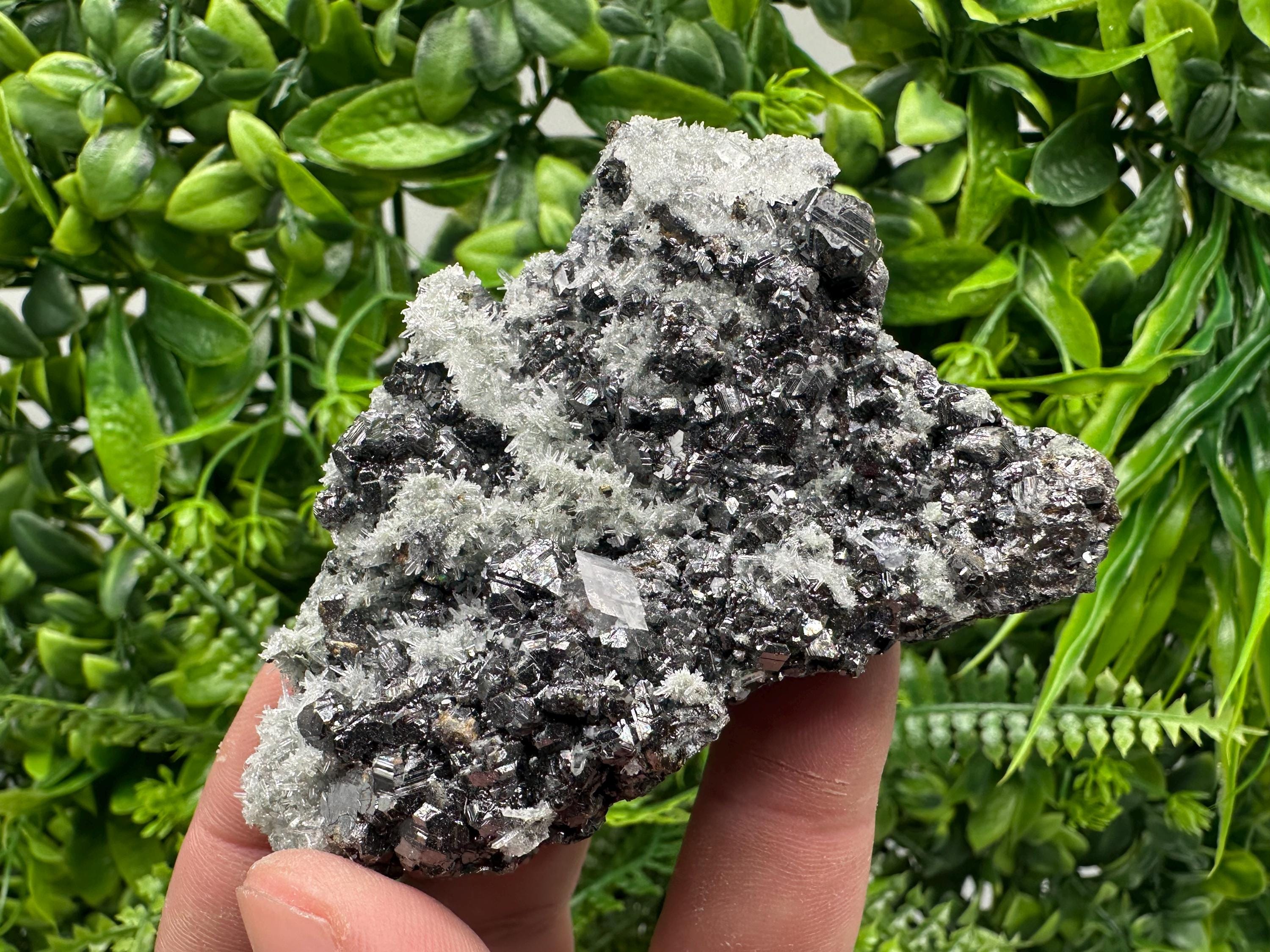 Sphalerite on Green Quartz, Madan Bulgaria, Mineral Specimen