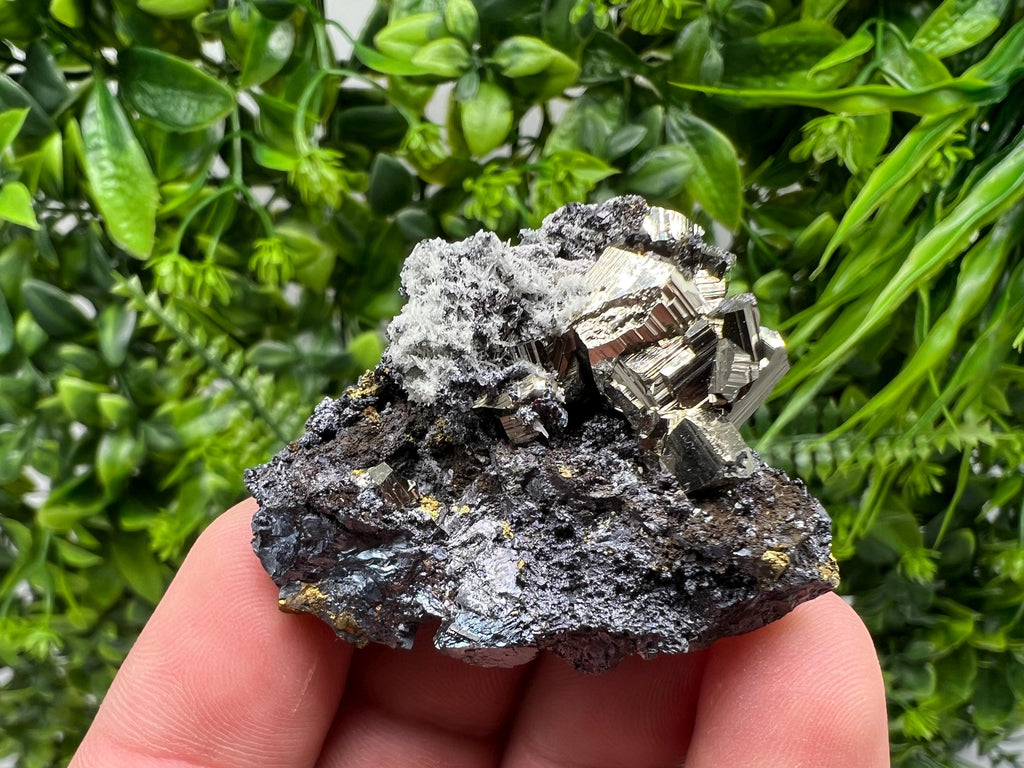 Golden Pyrite Sphalerite Cluster, Madan Bulgaria Mineral Specimen