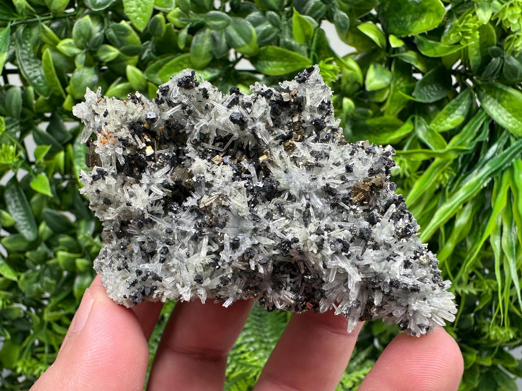 Pyrite on Needle Quartz, Madan Bulgaria, Mineral Specimen