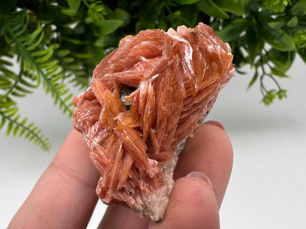 Wonderful Baryte with Cerussite on Galena from Morocco,Crystal, Mineral,Specimen,Cluster,Crystals,Barite Crystal,Cerussite Crystal,Specimen