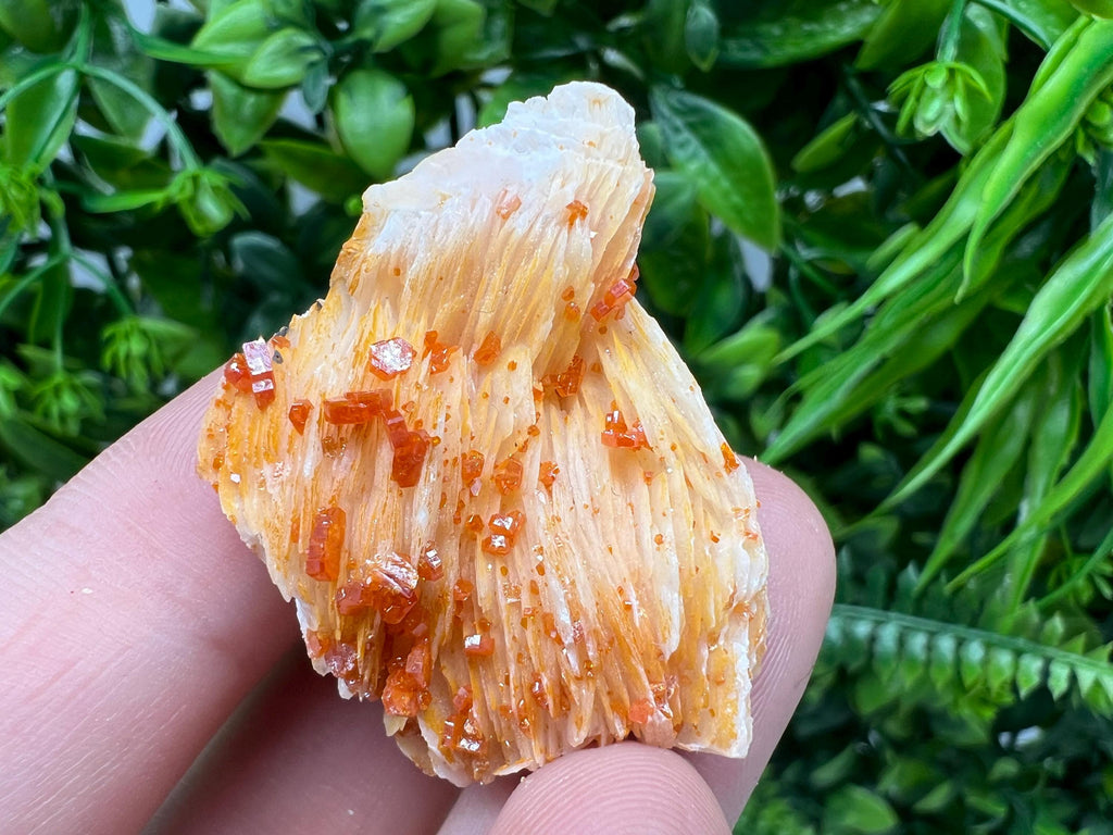 Red Vanadinite on Barite from Marocco,crystal minerals Speciment cluster Vanadinite crystal Vanadinite Geology Vanadinite cluster minerals