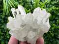 Chlorite Quartz Crystal Cluster: Borieva Mine, Bulgaria