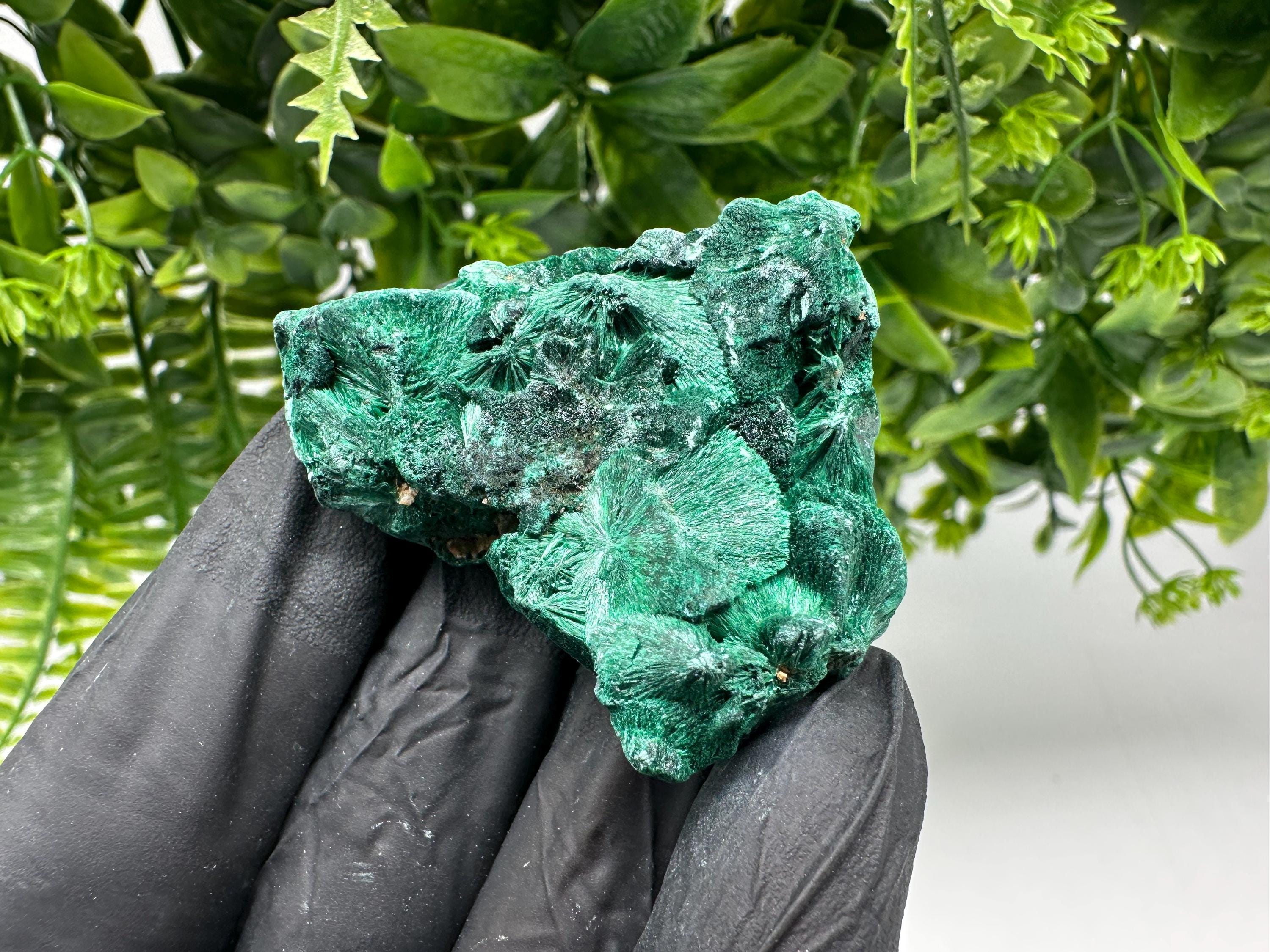 Malachite Crystal from Congo,Minerals,Crystals from Congo,Green Malachite, Malachite,Natural Malachite,Malachite Stone,Chakra, Specimens
