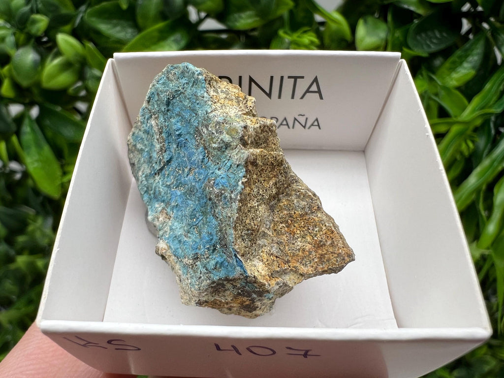 Rare Raw Aerinite Mineral Specimen: Lleida, Spain