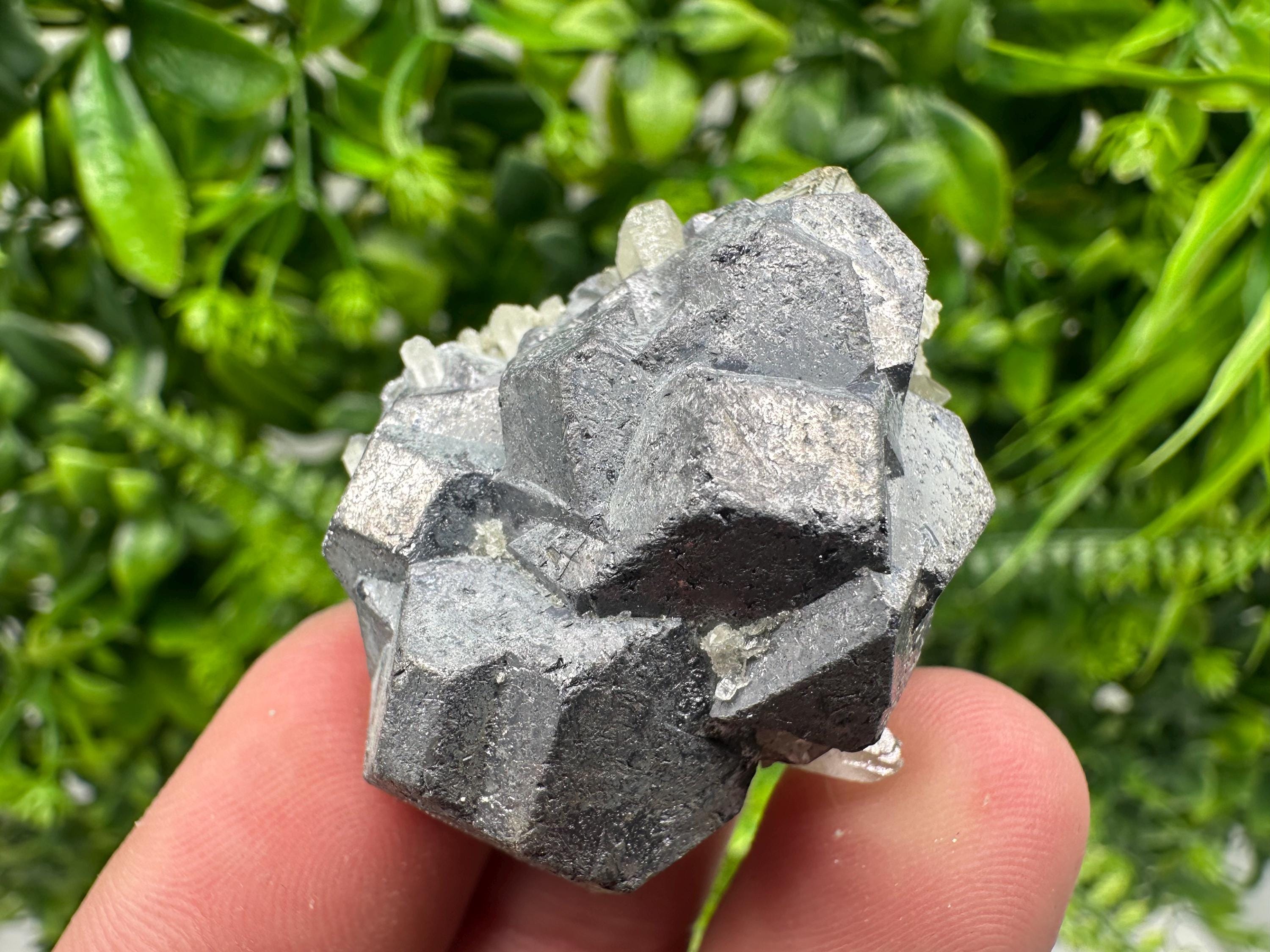 Galena on Pyrite Mineral Specimen, Borieva Mine, Bulgaria