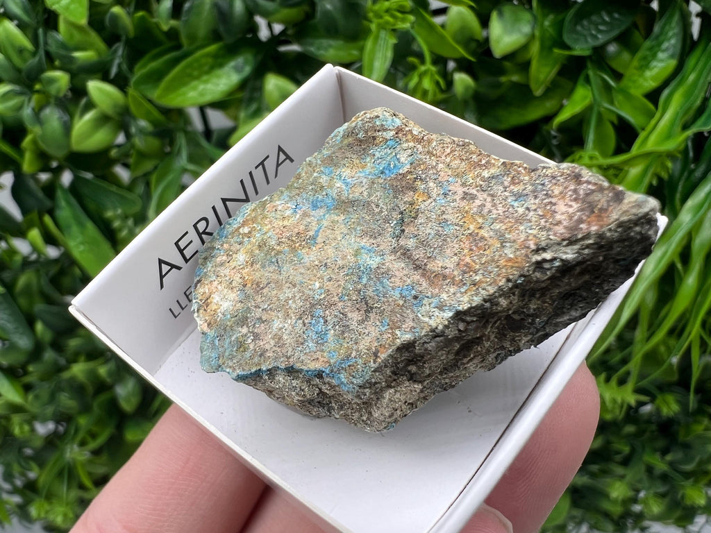 Rare Raw Aerinite Mineral Specimen: Lleida, Spain Collection Crystal