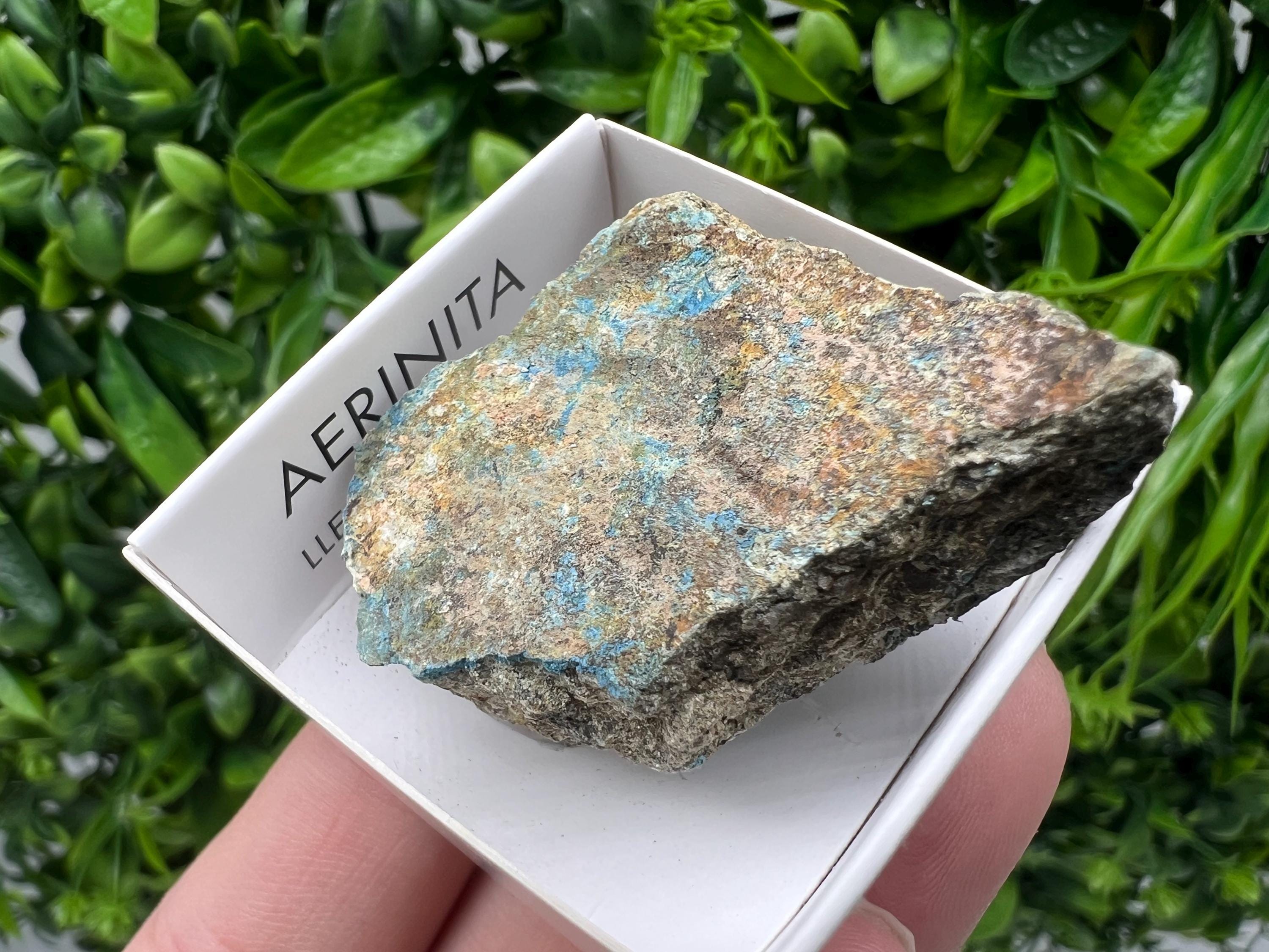 Rare Raw Aerinite Mineral Specimen: Lleida, Spain Collection Crystal