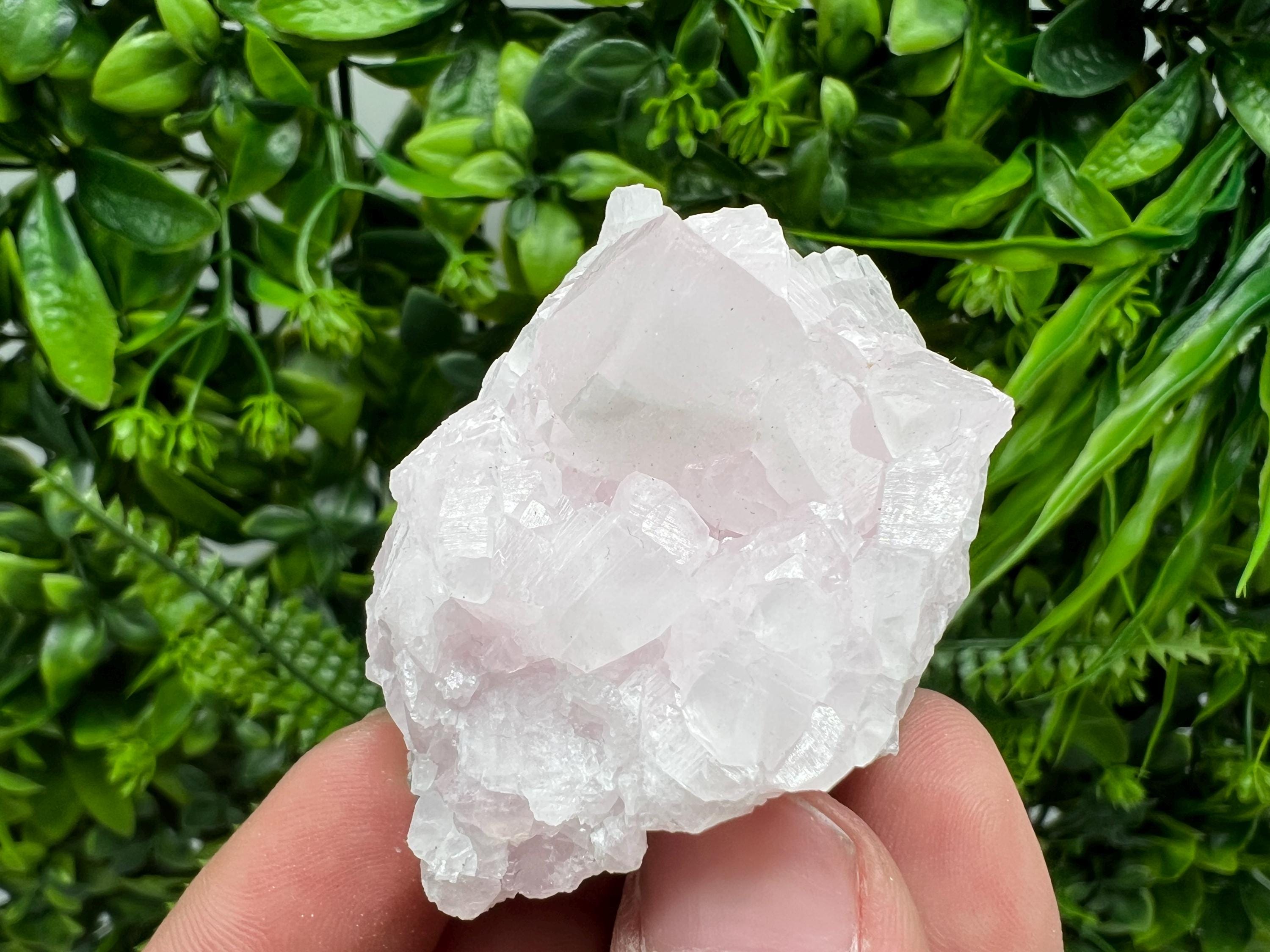 UV Reactive Mangano Calcite Crystal: Androvo Mine, Bulgaria
