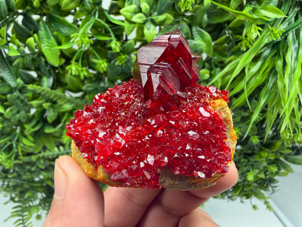 XXL Laboratory Pruskite Ruby Crystal on Matrix