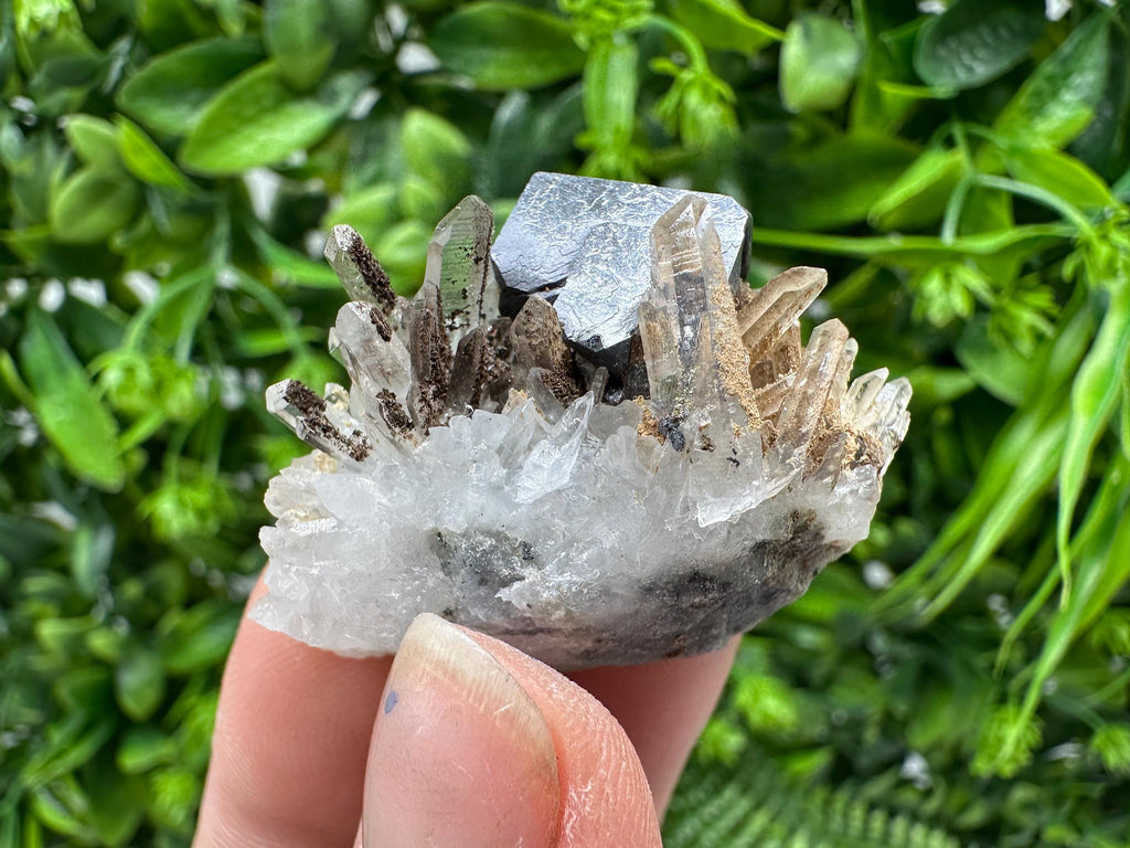 Stunning Galena,Sphalerite on Quartz whit Siderite from 9 th September mine,Madan,Bulgaria,Natural,collectible mineral specimen,home decor