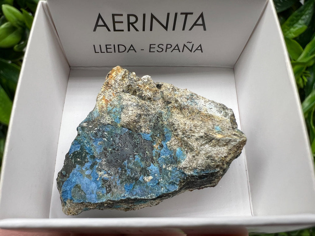 Rare Raw Aerinite Mineral Specimen: Collection Crystal from Lleida, Spain (3.5/3 cm