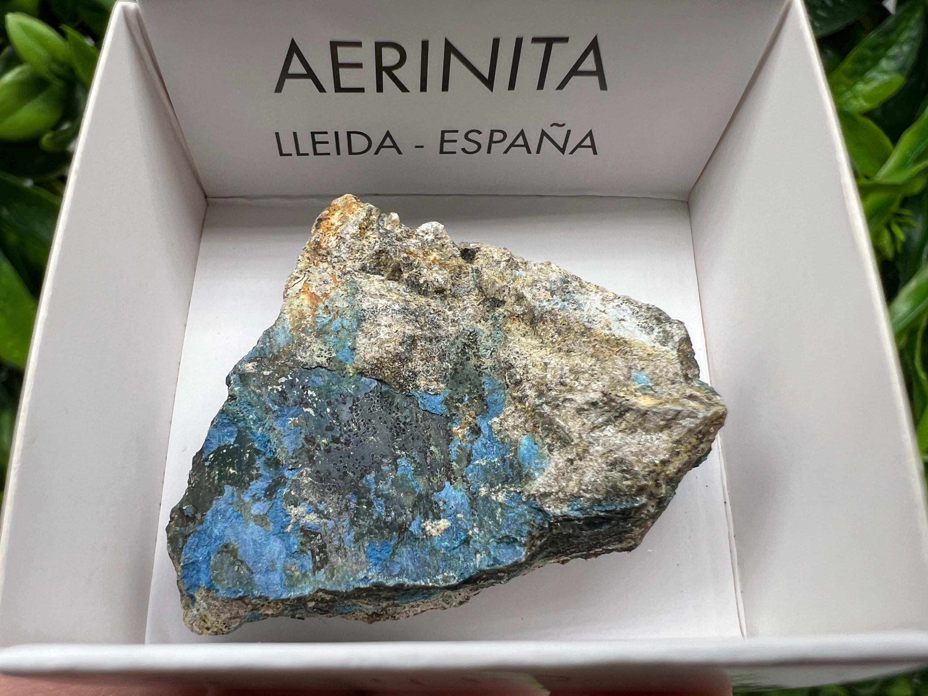 Rare Raw Aerinite Mineral Specimen: Collection Crystal from Lleida, Spain (3.5/3 cm