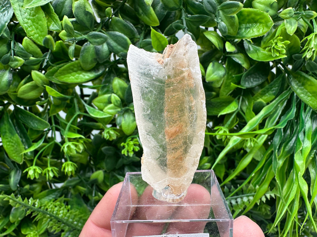 Raw Utah Golden Phantom Selenite Slab: Fishtail Selenite Wand