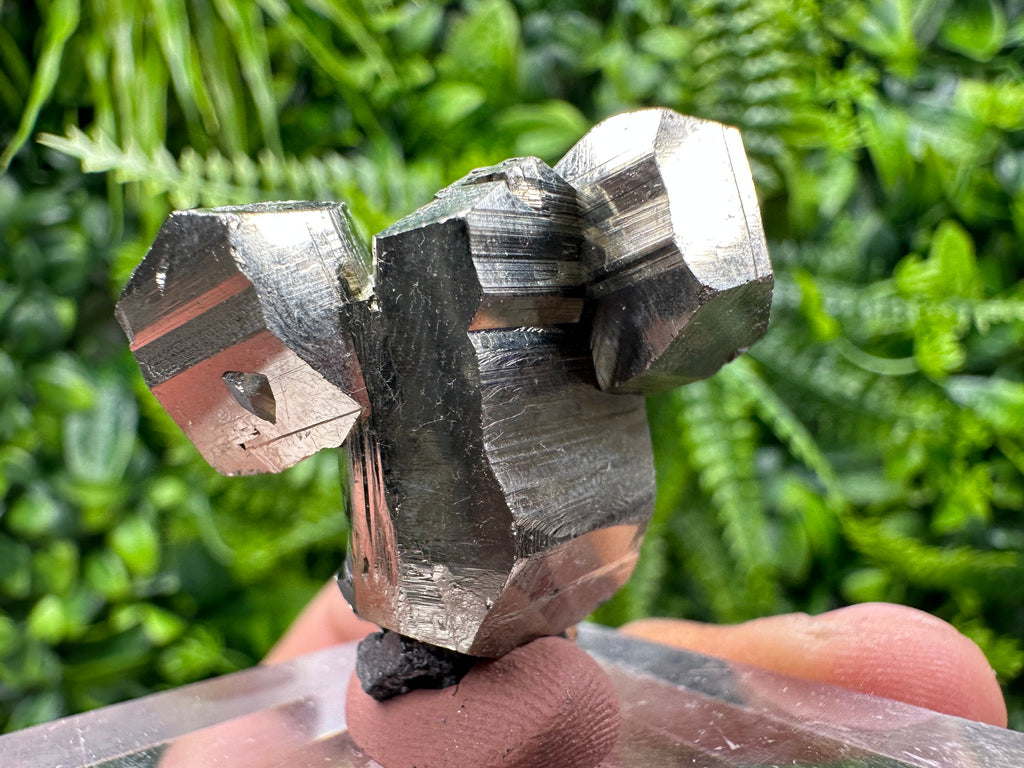 Rare Shiny Pyrite Cluster: Natural Crystal Mineral Souvenir