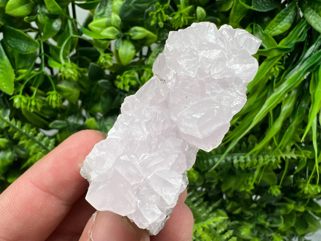 UV Reactive Mangano Calcite Crystal: Androvo Mine, Bulgaria