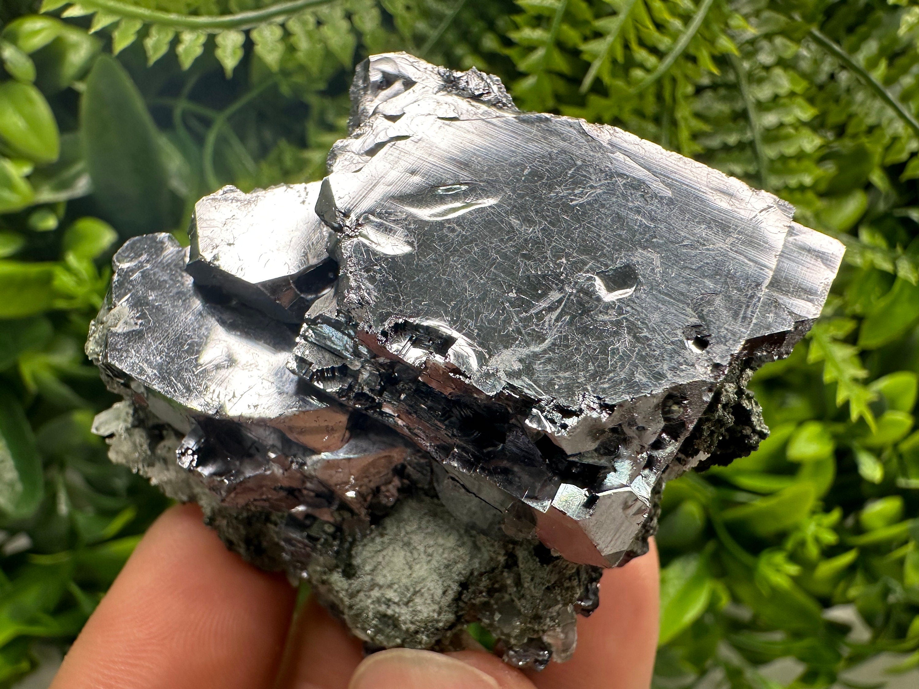 Mirror Galena on Quartz with Chlorite, Borieva Mine, Bulgaria