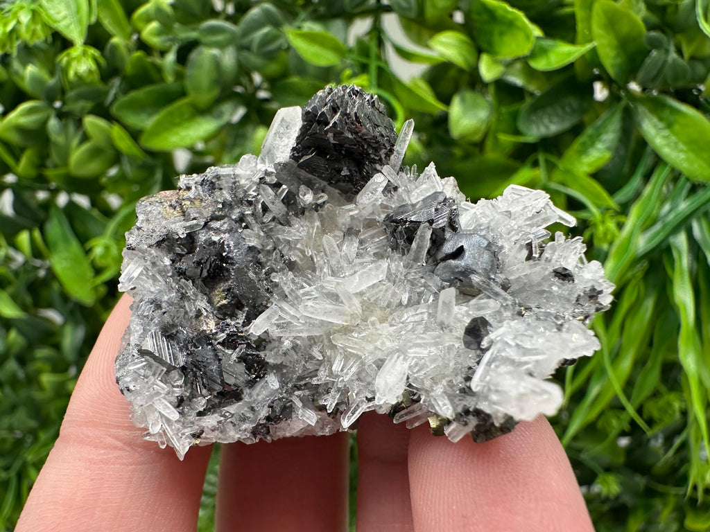 Wonderful Sphalerite Chalcopyrite on  Quartz whit Galena feom 9 th September mine,Bulgaria,natural,collection mineral specimen,gift