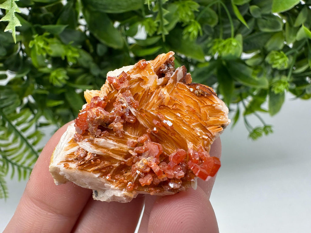 Red Vanadinite on Barite Crystal Specimen, Moroccan Mineral Cluster